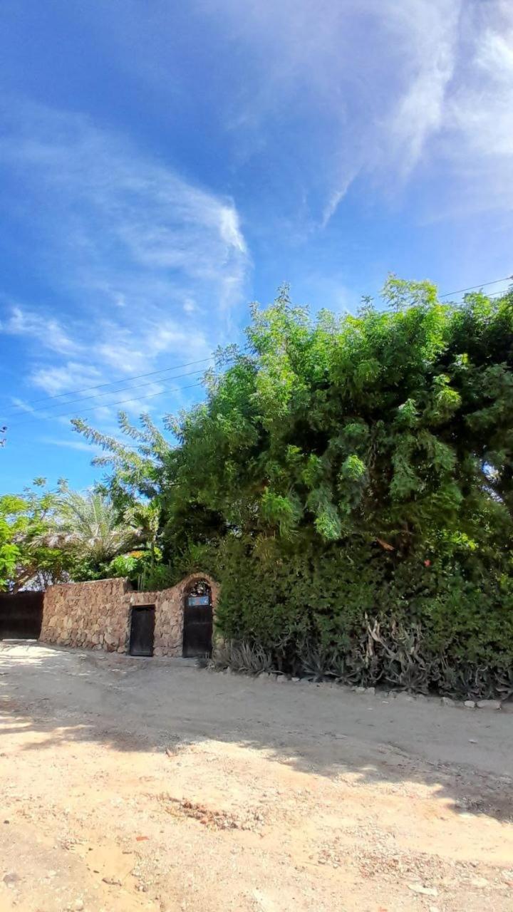 Steviewonderland Playa El Yaque Hotel Exterior foto