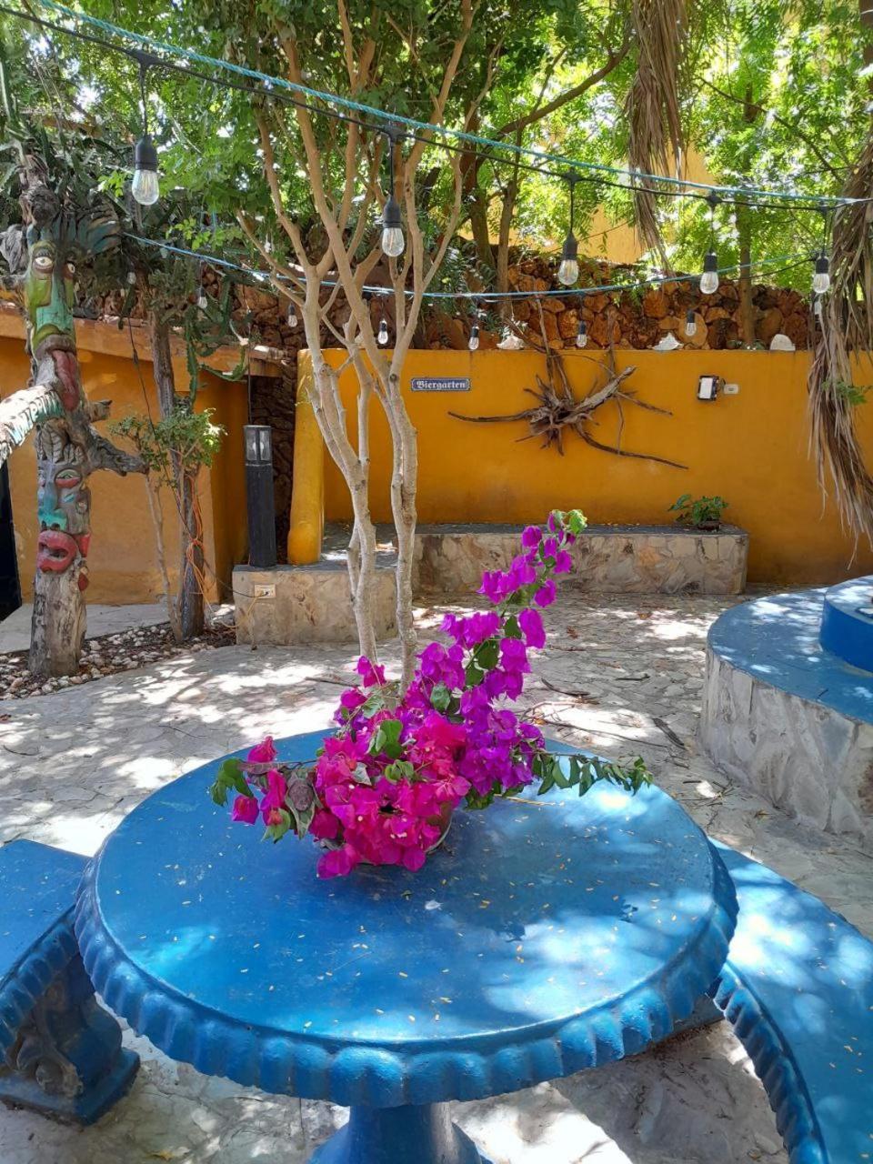Steviewonderland Playa El Yaque Hotel Exterior foto